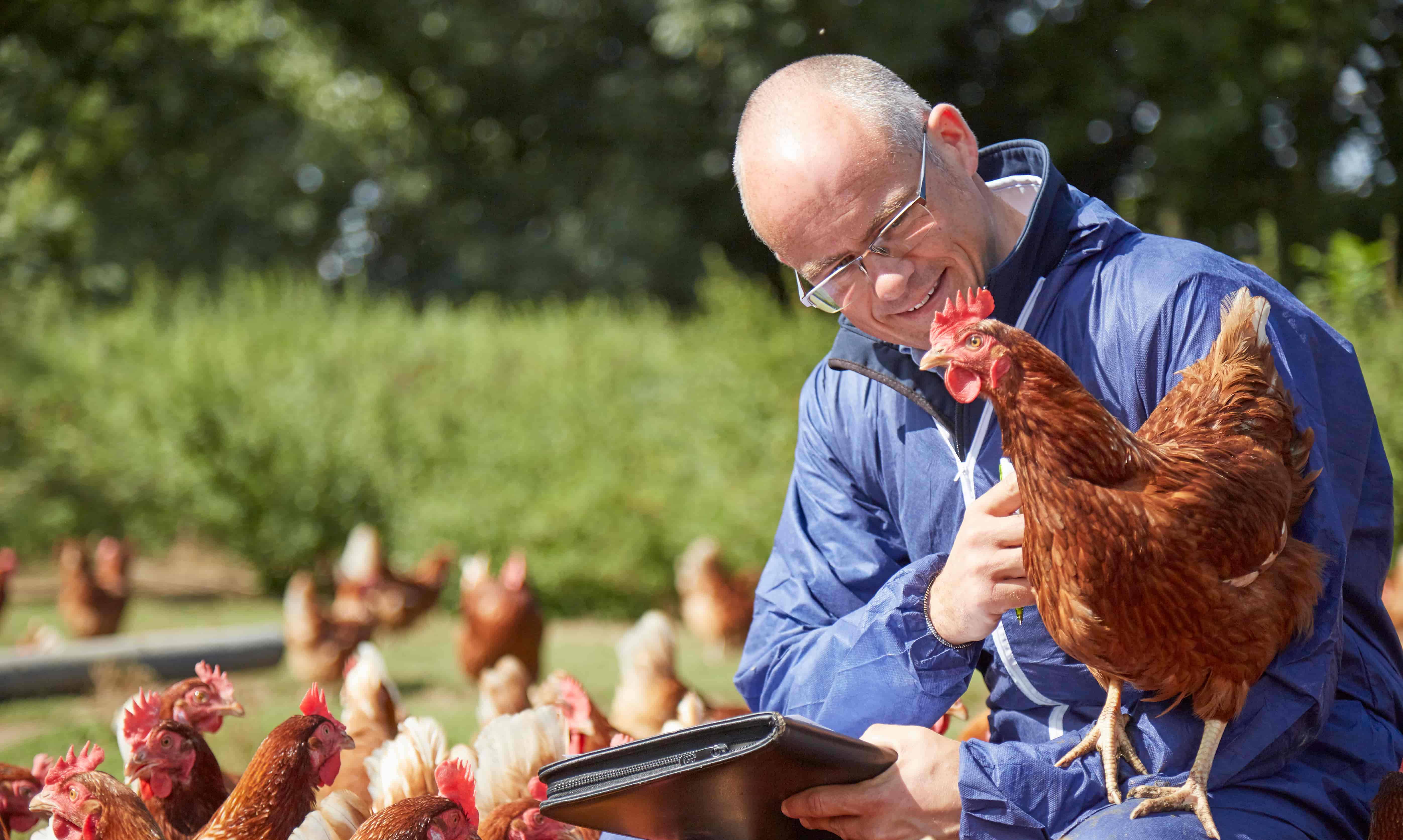 RSPCA Assured assessor and hens