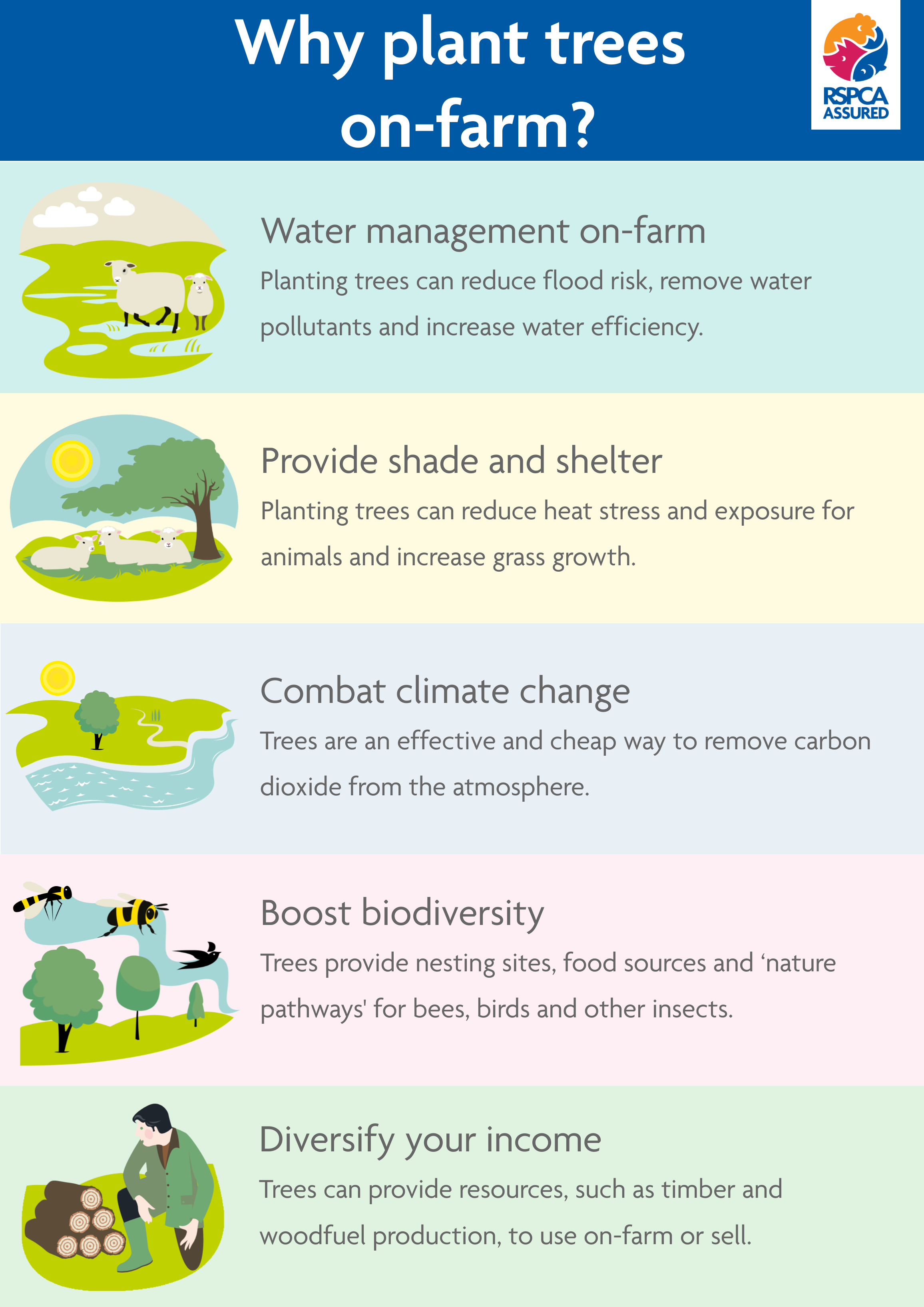 A guide to planting trees on your ruminant farm