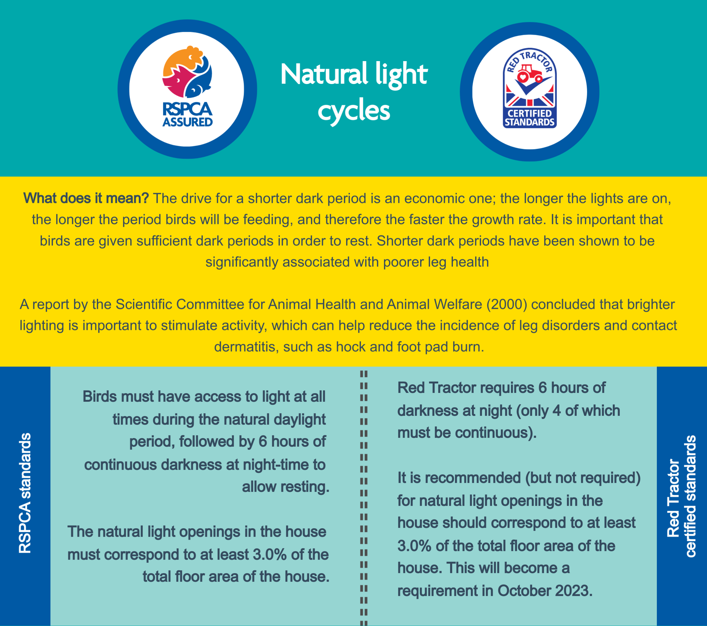 Natural light cycles