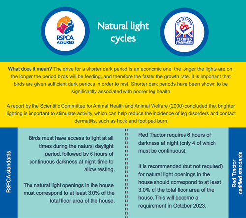 Natural light cycles