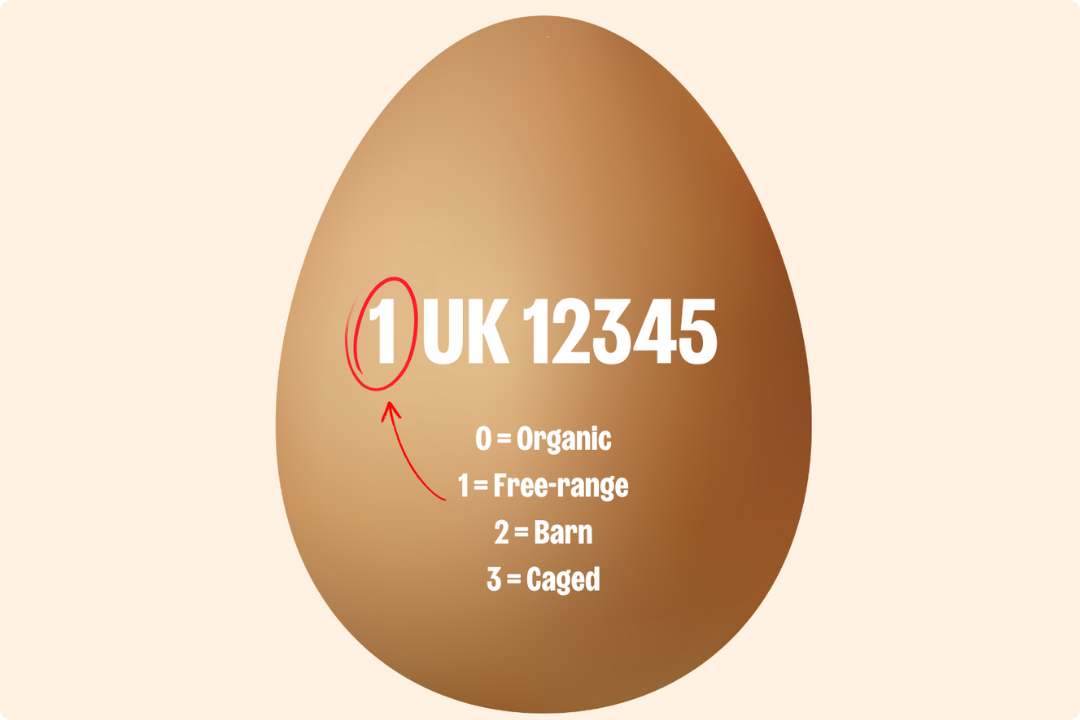 Egg codes explained