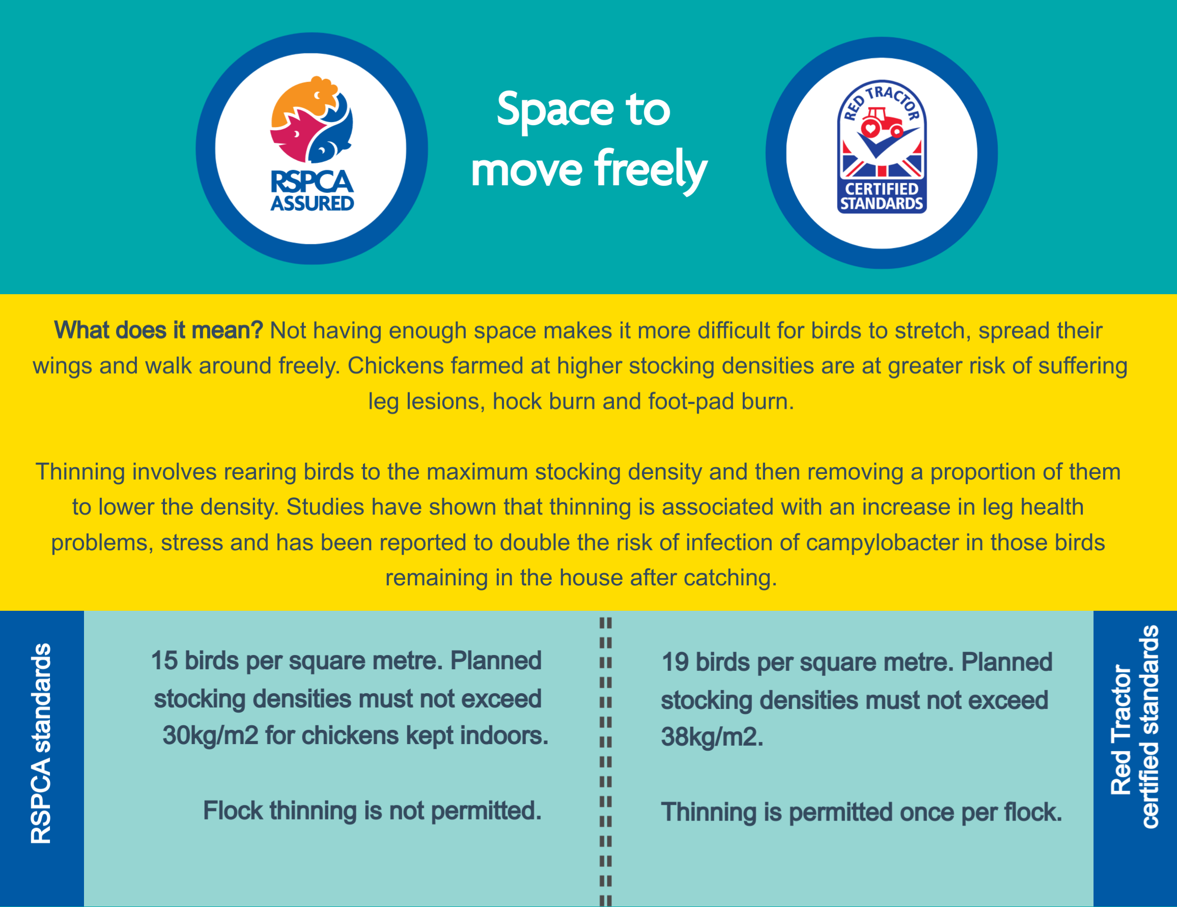 Space to move freely