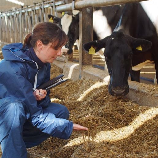 Farm animal welfare | RSPCA Assured