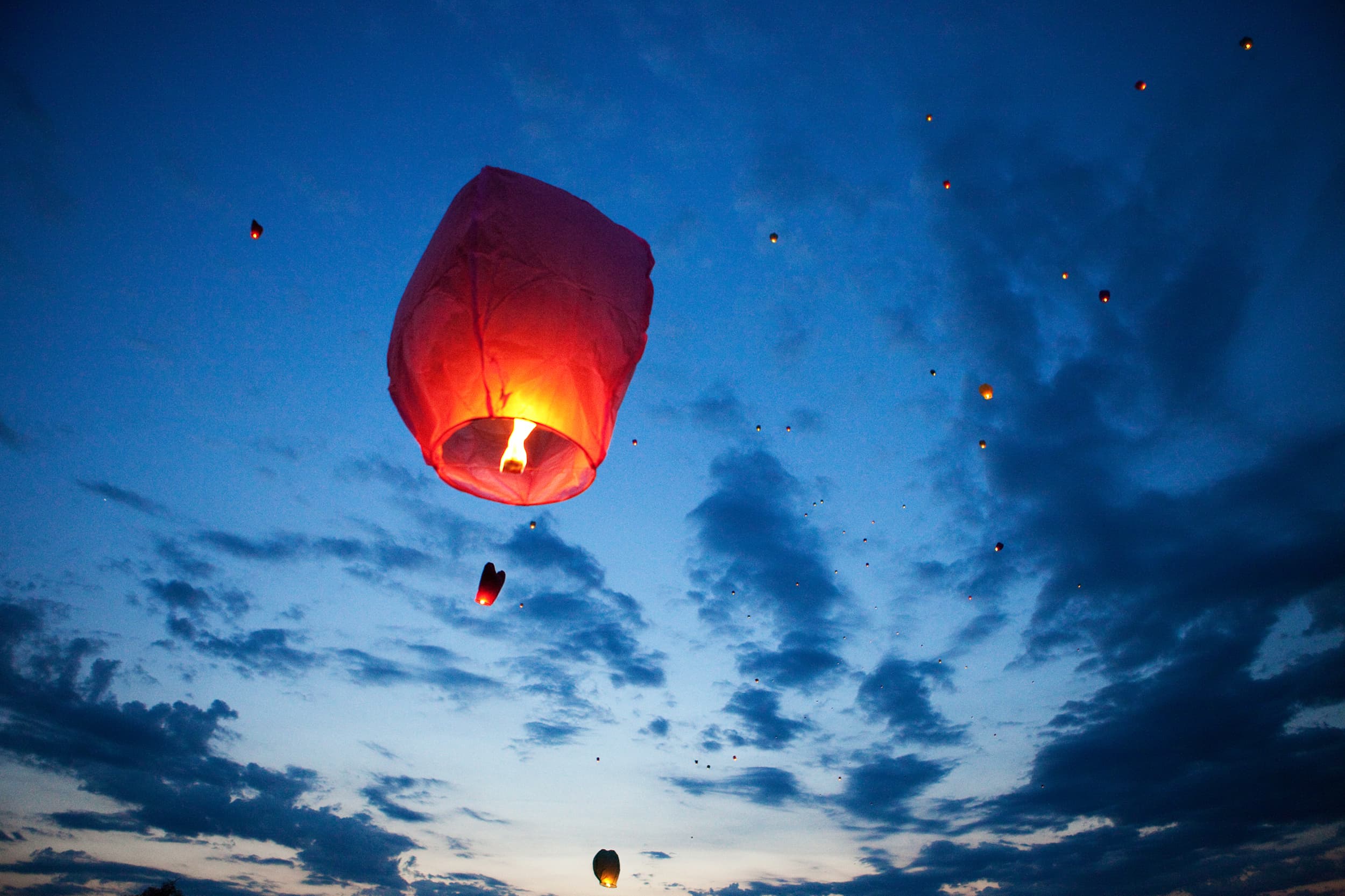 Urgent Call to Ban Sky Lanterns for Farm animals Welfare