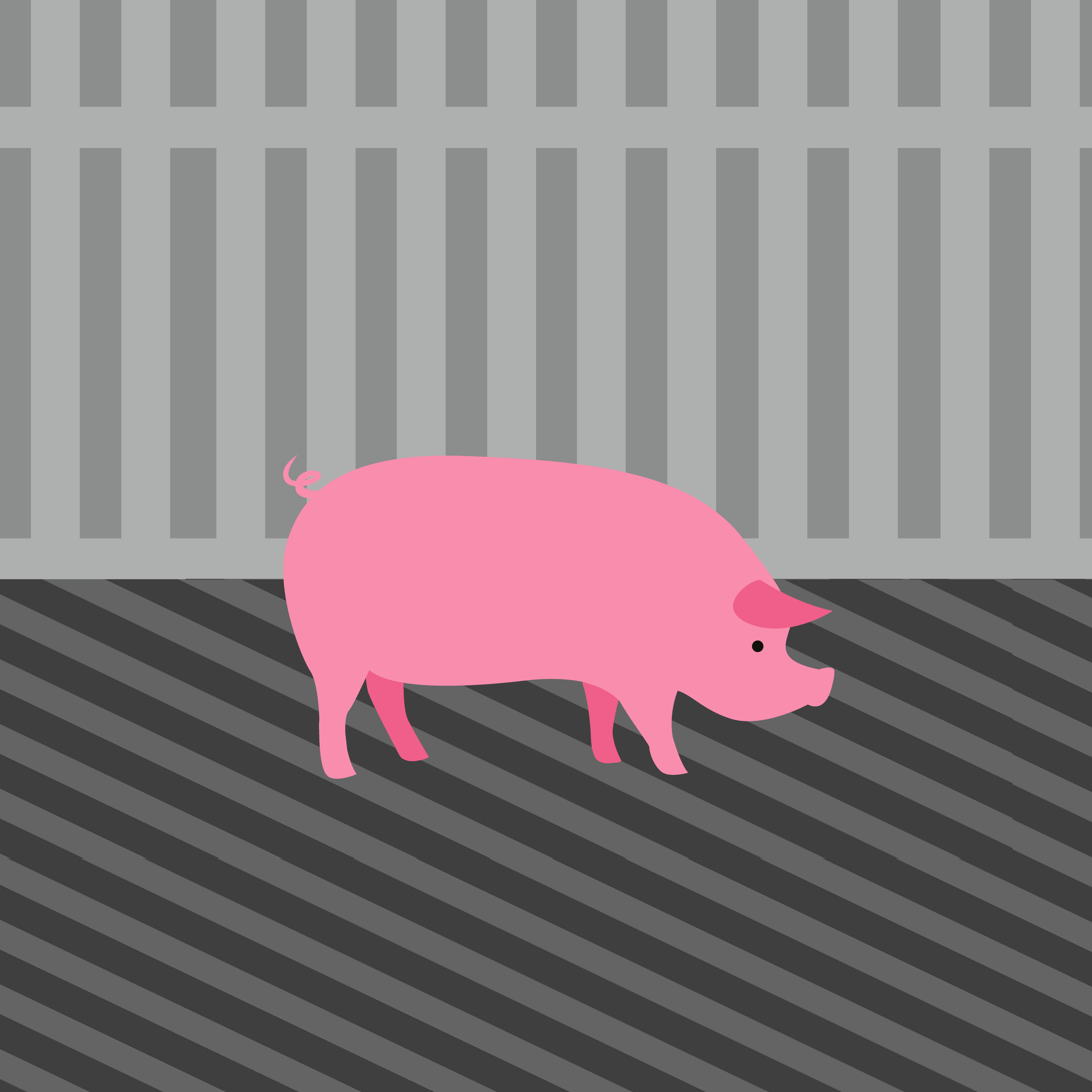 Lower welfare pigs finishing farm